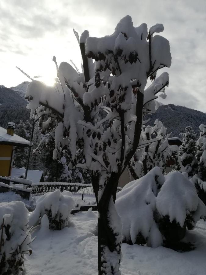 Il Nido B&B Villa d'Allegno Luaran gambar